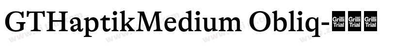 GTHaptikMedium Obliq字体转换